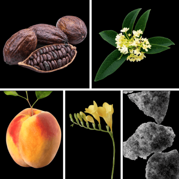 Duftnoten: Kakao, Osmanthusblüte, Pfirsich, Fresie, Moschus